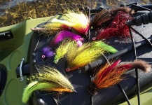 Moscas para Musky - Fly dreamers