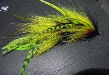 Streamer para Musky color Verde - Fly dreamers