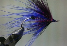 Black & Purple Steelhead Fly by Chad Brown - Fly dreamers