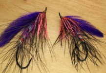 Mahoney Spey Fly Purple - Fly dreamers