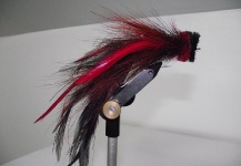 Muskie Fly Red/Black - Fly Tying - Fly dreamers