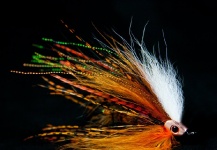 The Mad Hatter Streamer - Fly Tying - Fly dreamers