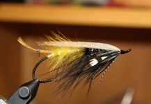 Akroyd dee 3/0 -Mosca de Atlantic Salmon - Fly dreamers