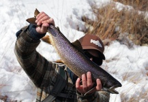  Fotografía de Pesca con Mosca de Trucha de arroyo o fontinalis por Paul Swint – Fly dreamers 