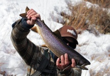 Paul Swint 's Fly-fishing Photo of a Brook trout – Fly dreamers 