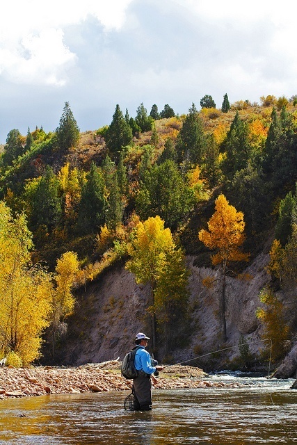 trout fly fishing