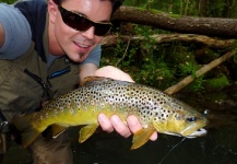 Andreas Schmitt 's Fly-fishing Catch of a Brown trout – Fly dreamers 