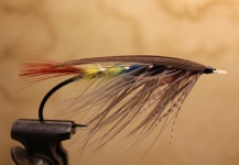 Tricolor dee en anzuelo Daiichi Alec Jackson - Fly dreamers