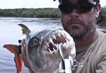  Fotografía de Pesca con Mosca de Tigerfish por Henkie Altena – Fly dreamers