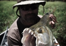  Imagen de Pesca con Mosca de Tigerfish compartida por Henkie Altena – Fly dreamers