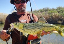 Fly-fishing Image of Yellowfish shared by Henkie Altena – Fly dreamers