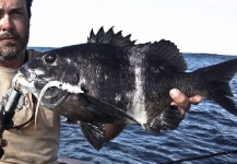 Henkie Altena 's Fly-fishing Photo of a Other Species – Fly dreamers 