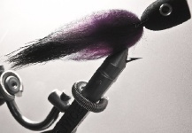 Tigerfish Popper - Fly Tying - Fly dreamers