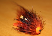 Remigijus Cephalus 's Fly for Atlantic salmon -  Photo – Fly dreamers 