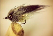Grey Seatrout Streamer - Fly Tying - Fly dreamers