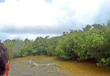  Imagen de Situación de Pesca con Mosca por Alfredo Mimenza – Fly dreamers