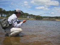 Foto de pesca con mosca