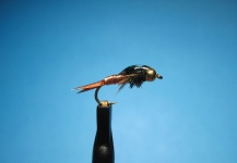 Fly for Salmo trutta - Photo shared by Nathan Madison – Fly dreamers 