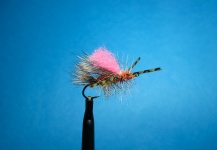 Fly for von Behr trout - Image shared by Nathan Madison – Fly dreamers