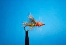 Nathan Madison 's Fly for Brown trout - Pic – Fly dreamers 