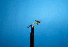 Nathan Madison 's Fly-tying for Brown trout - Photo – Fly dreamers 