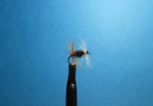 Fly-tying for Brown trout - Picture by Nathan Madison 