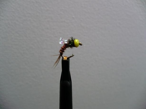 American Pheasant Tail variant with colored bead heads.