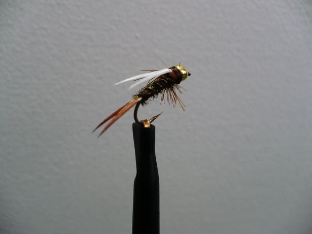 Prince Nymph. It pays to buy good strong Biots.