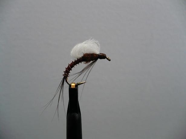 Emerger pattern with Biot body and CDC wing