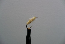 Fly-tying Pic by John Gross 