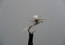 John Gross 's Fly-tying Pic – Fly dreamers 