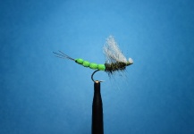 Fly-tying for Brown trout - Picture shared by Nathan Madison – Fly dreamers