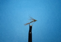 Fly-tying for Rainbow trout - Photo by Nathan Madison – Fly dreamers 