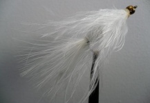 Marabou Wooly Bugger - Good Fly Pic by John Gross 