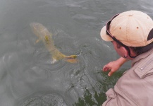 Good Fly-fishing Pic shared by Roberto Esteban Galbarini 