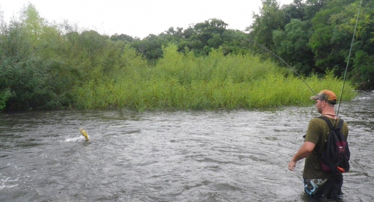 Verios brazos se abren justo en ese sector, la variedad de aguas es absoluta.