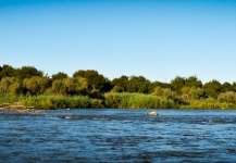 Yellowfish Fly-fishing Situation – Luke Saffarek shared this () Image in Fly dreamers 