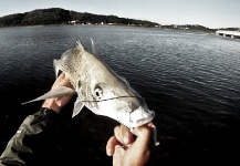  Una Genial imagen de Pesca con Mosca por Henkie Altena