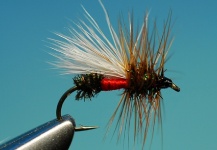 Fly-tying for Apache trout - Photo by Jimbo Busse – Fly dreamers 