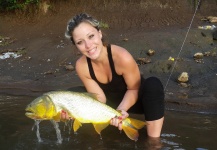 Victoria Ahumada 's Fly-fishing Image of a Golden Dorado – Fly dreamers 