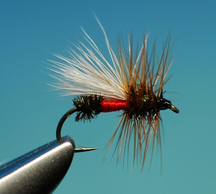 Fly-tying for Apache trout - Photo by Jimbo Busse – Fly dreamers