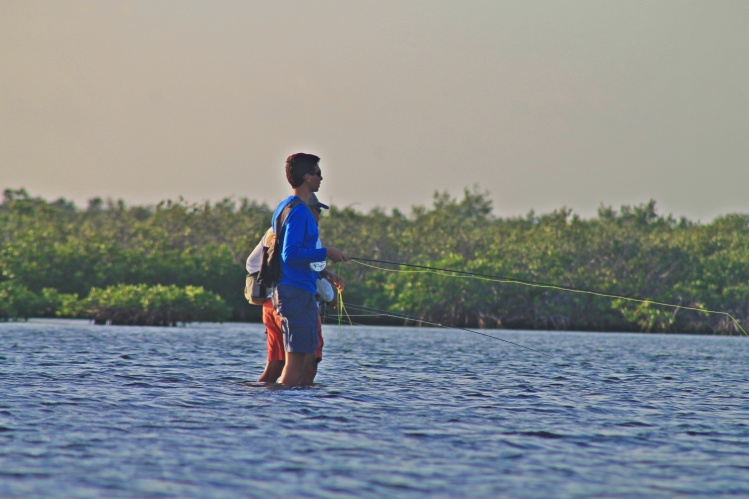 Stalking Bonefish!