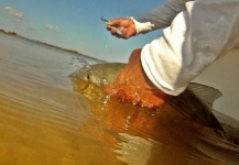  Foto de Situación de Pesca con Mosca por Alfredo Mimenza – Fly dreamers