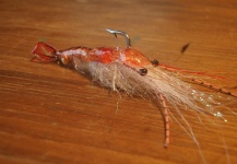 Mariano Ferrara 's Fly-tying for Whitemouth croaker - Photo – Fly dreamers 