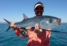 Fly-fishing Pic of Milkfish shared by Jono Shales – Fly dreamers 