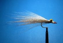 Nathan Madison 's Fly-tying for Largemouth Bass - Pic – Fly dreamers 