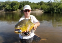 Sebastian Hasenbalg 's Fly-fishing Photo of a Golden Dorado – Fly dreamers 