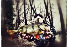 Fly-fishing Picture of Perch shared by MOUCHENE Josselin – Fly dreamers