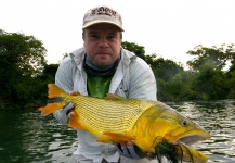Fly-fishing Picture of Golden Dorado shared by Per Brännström – Fly dreamers