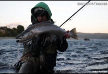 Fly-fishing Image of Brown trout shared by Jack Hardman – Fly dreamers